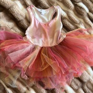 Pastel Ombré Plum Tutu size 4Y - iloveplum